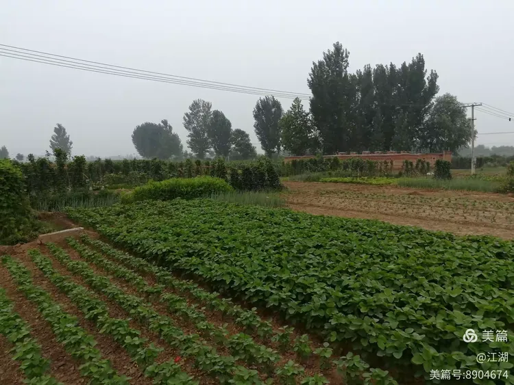 灵寿西木佛.滹沱河